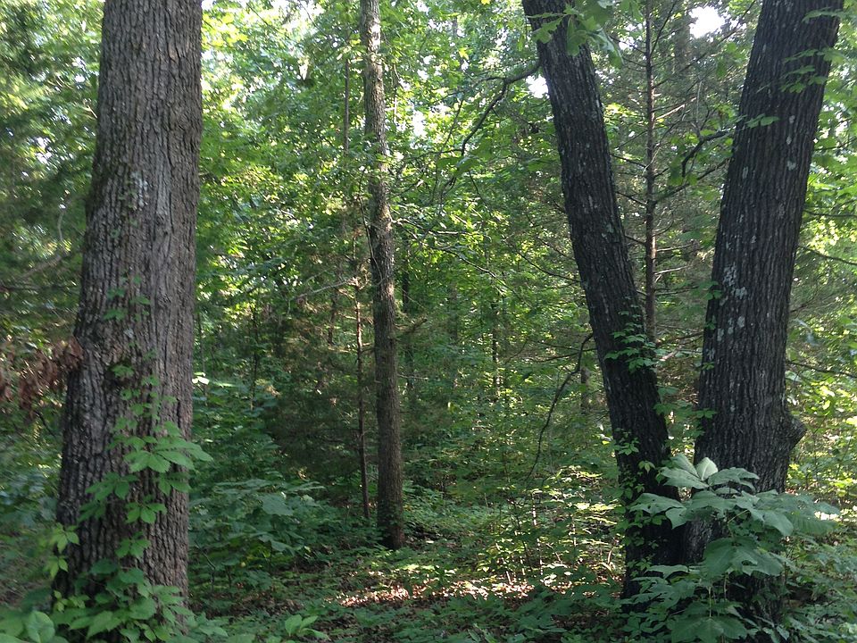 1st image of Old Hickory Ln