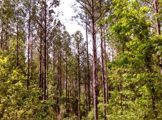 983 County Road 338, Elba, AL 36323