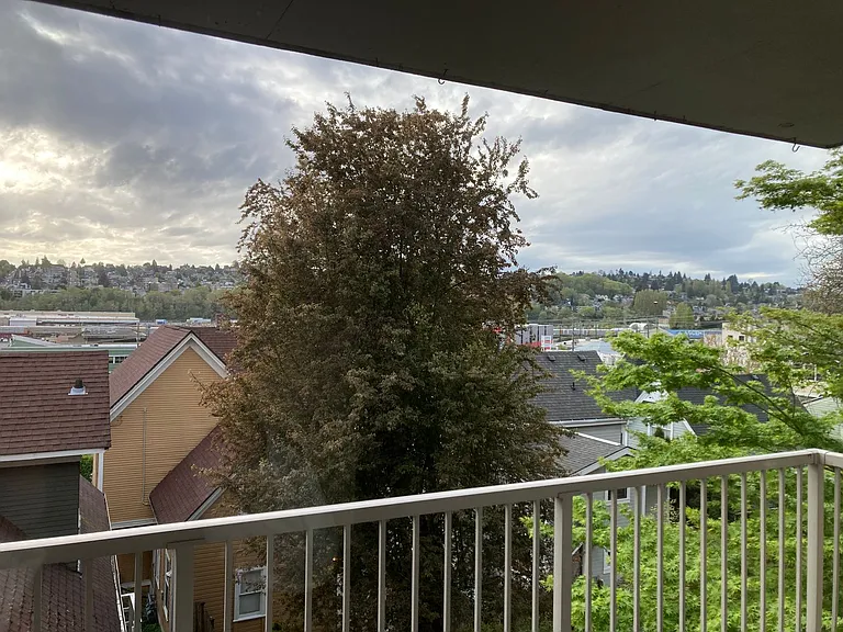 Queen Anne 9 — Photo 19