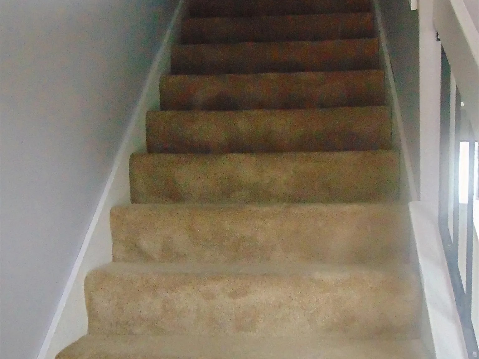 1901 Nancy Ct — Photo 4