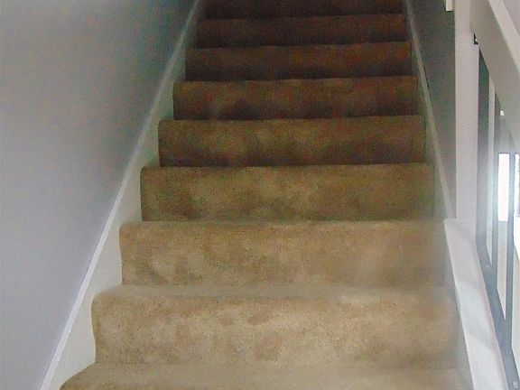 5th image of 1901 Nancy Ct APT 1