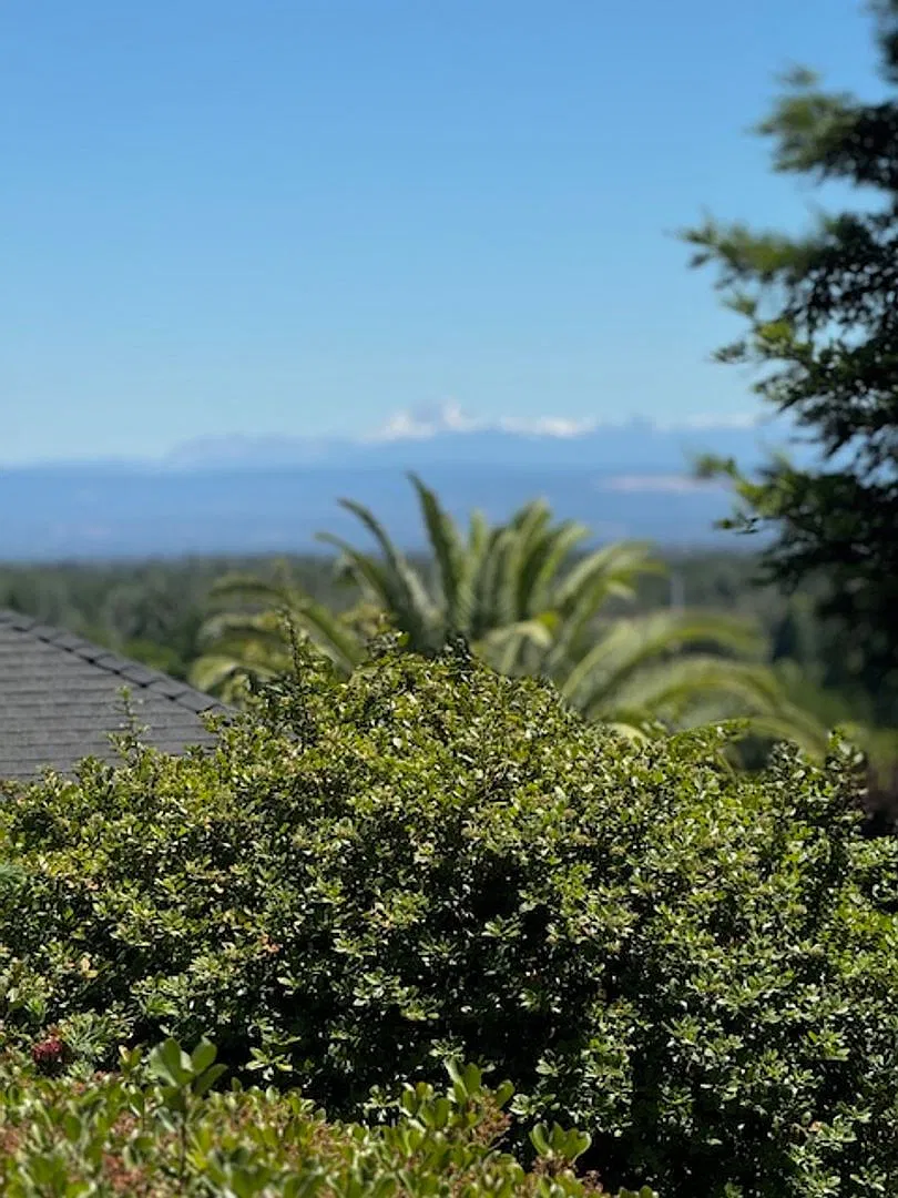 3 Bedroom Shasta Lake Home with Large Fenced Back Yard- Pets Considered — Photo 3