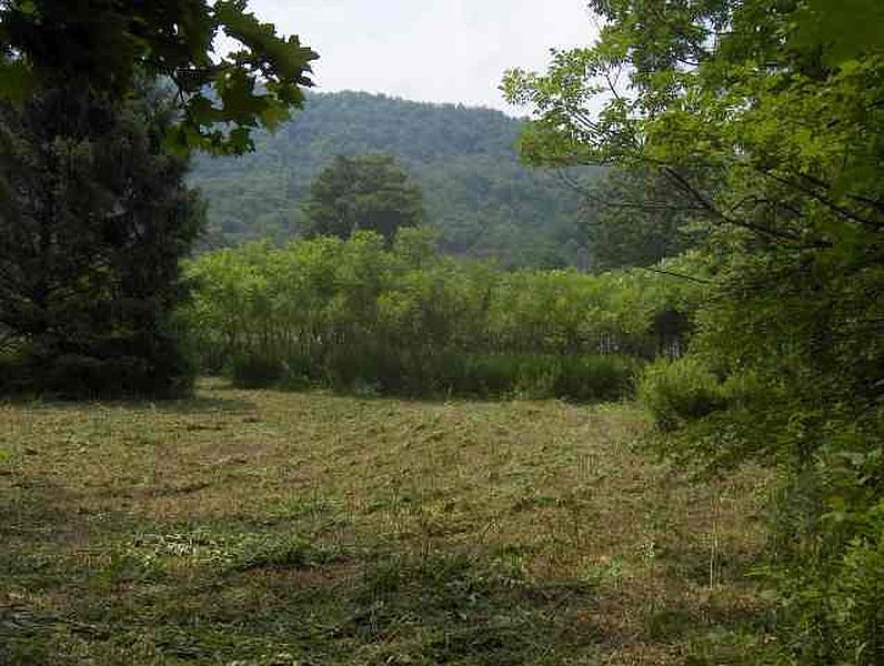 4th image of 0 NEW YORK STATE ROUTE 22