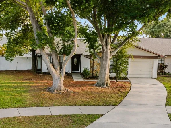 2031 Dover Ct, Oldsmar, FL 34677