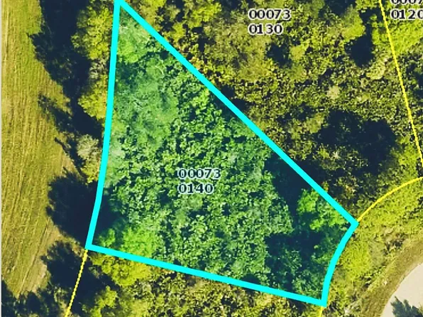 433 Mercedes Ct, Lehigh Acres, FL 33972