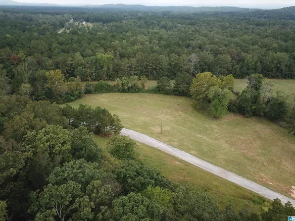 1 Poplar Springs Trl #0, Ashville, AL 35953