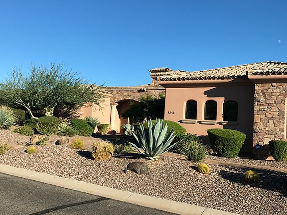 Desert landscaping 