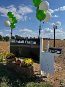 998 Josephville Rd Lot 6, Wentzville, MO, 63385