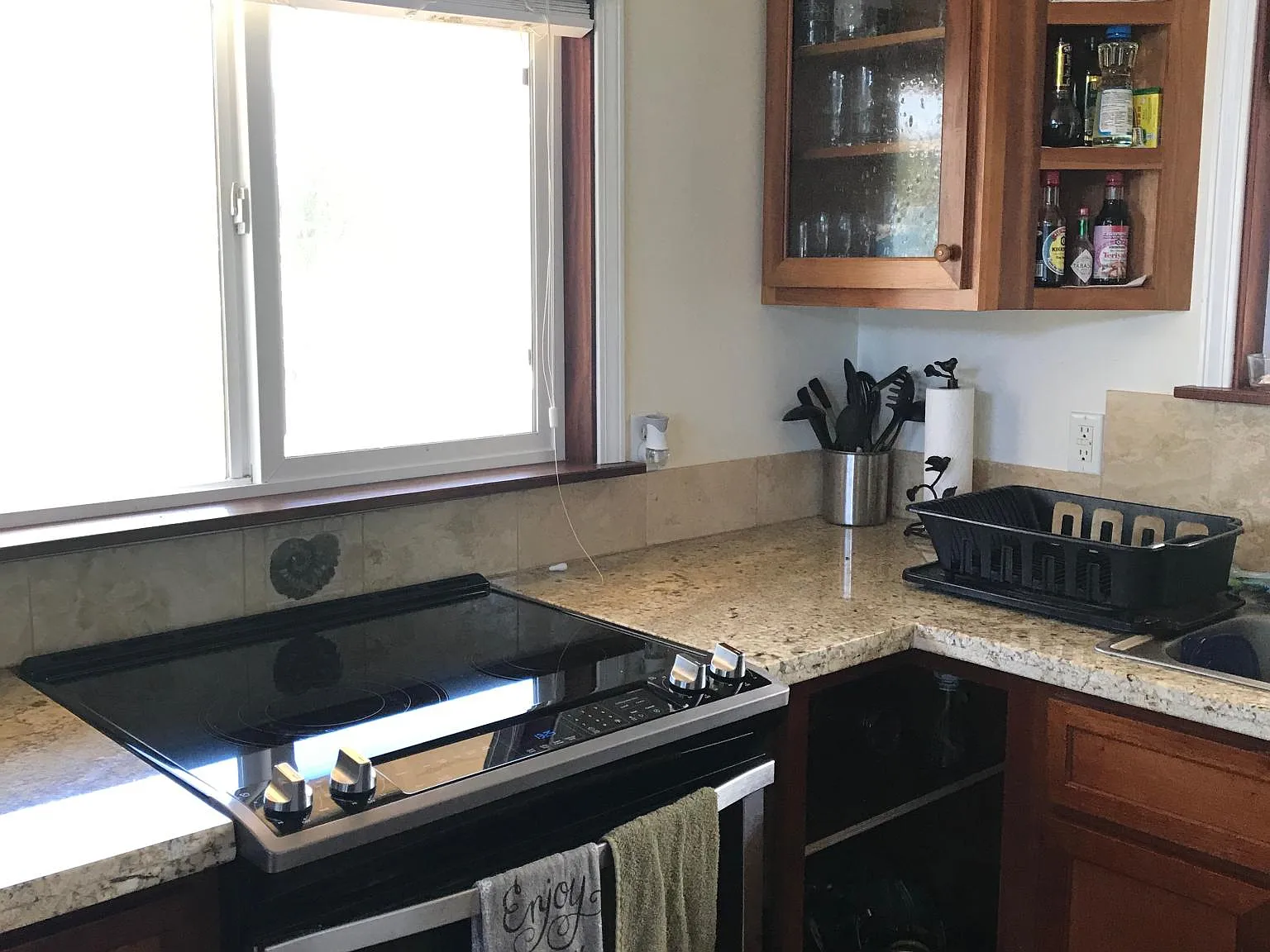1 bed, 980 sqft, $4,300 — Photo 4