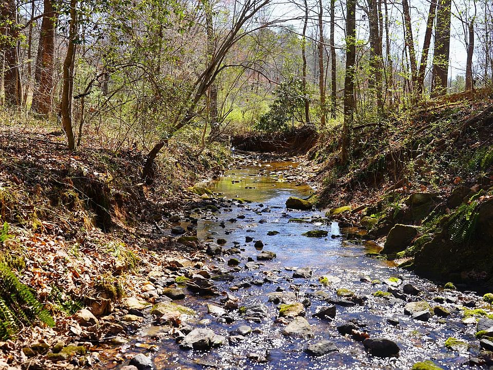 Wooded Land For Sale with Creek in Carroll County, Virginia by Justin Rolfe, Mossy Oak Properties Land and Luxury