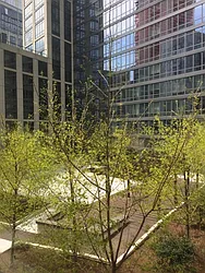 Rented by Windsor Property Management