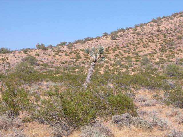 1st image of 8322 W Las Cruces Dr