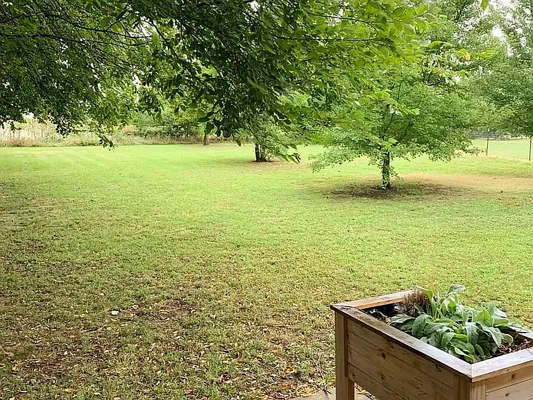 Nicely shaded large back yard.
