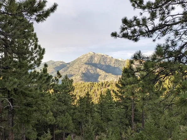 1312 Chute Rd, Golden, CO 80403