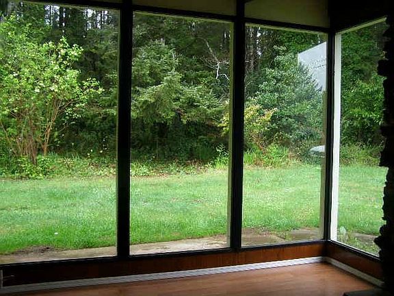 Forest view from living room