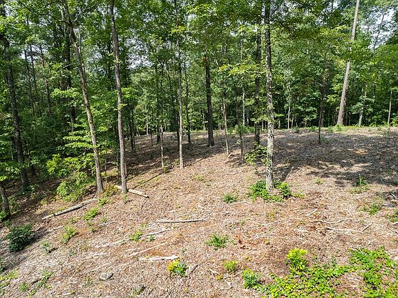 3rd image of 314 Pebble Trce