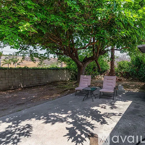 134 Tropicana Dr #3 — Photo 6