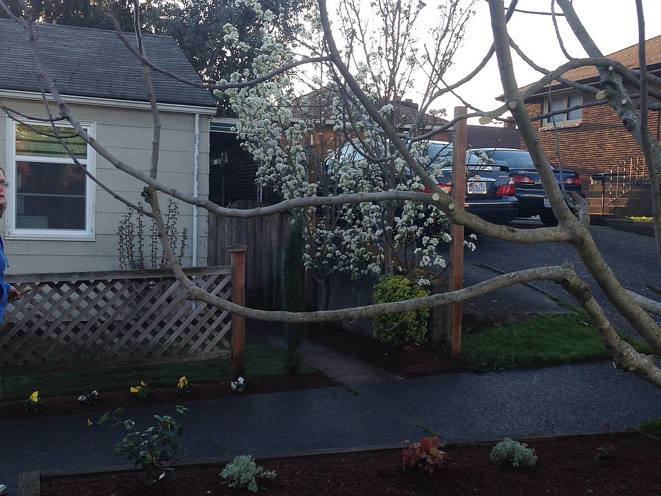 2nd image of 5507 9th Ave NW