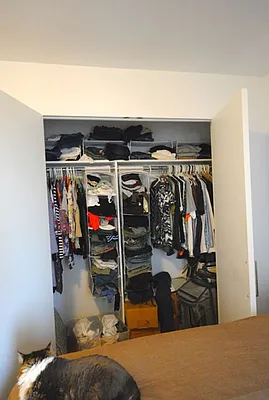 Rented by Bold New York | media 37