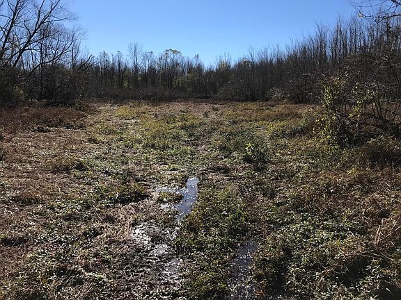 5th image of County Road 173