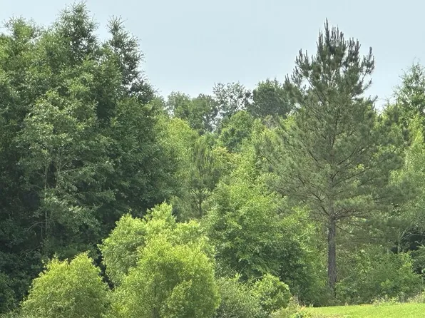 0 County Road 54, Daphne, AL 36526