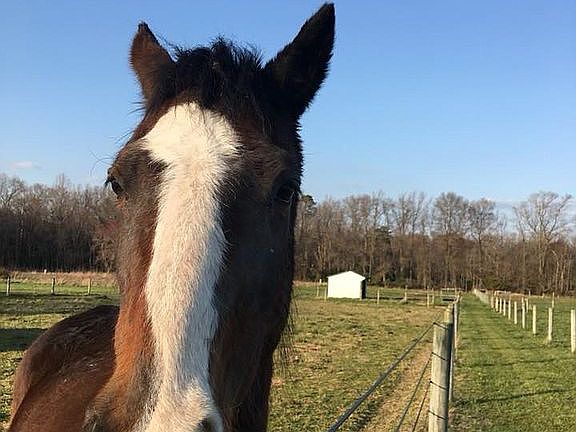 View from West to East