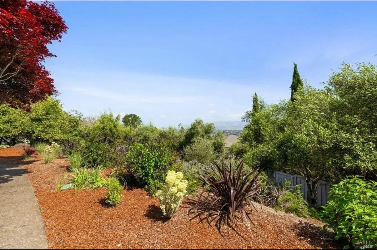 1 bed, 800 sqft, $1,850 — Photo 4