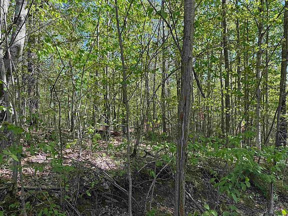 3rd image of 550 Petit Road