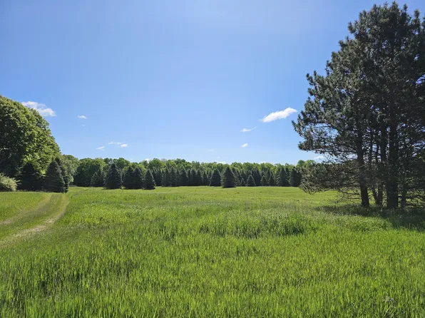 9250 E Mannsiding Rd, Clare, MI 48617