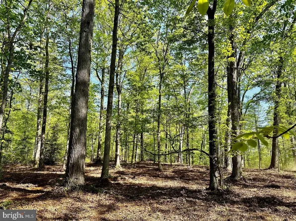 Tapps Ford Rd, Amissville, VA 20106