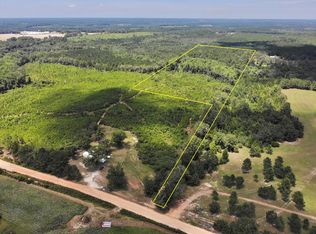 30AC Old Elba Rd E, Coffee Springs, AL 36318
