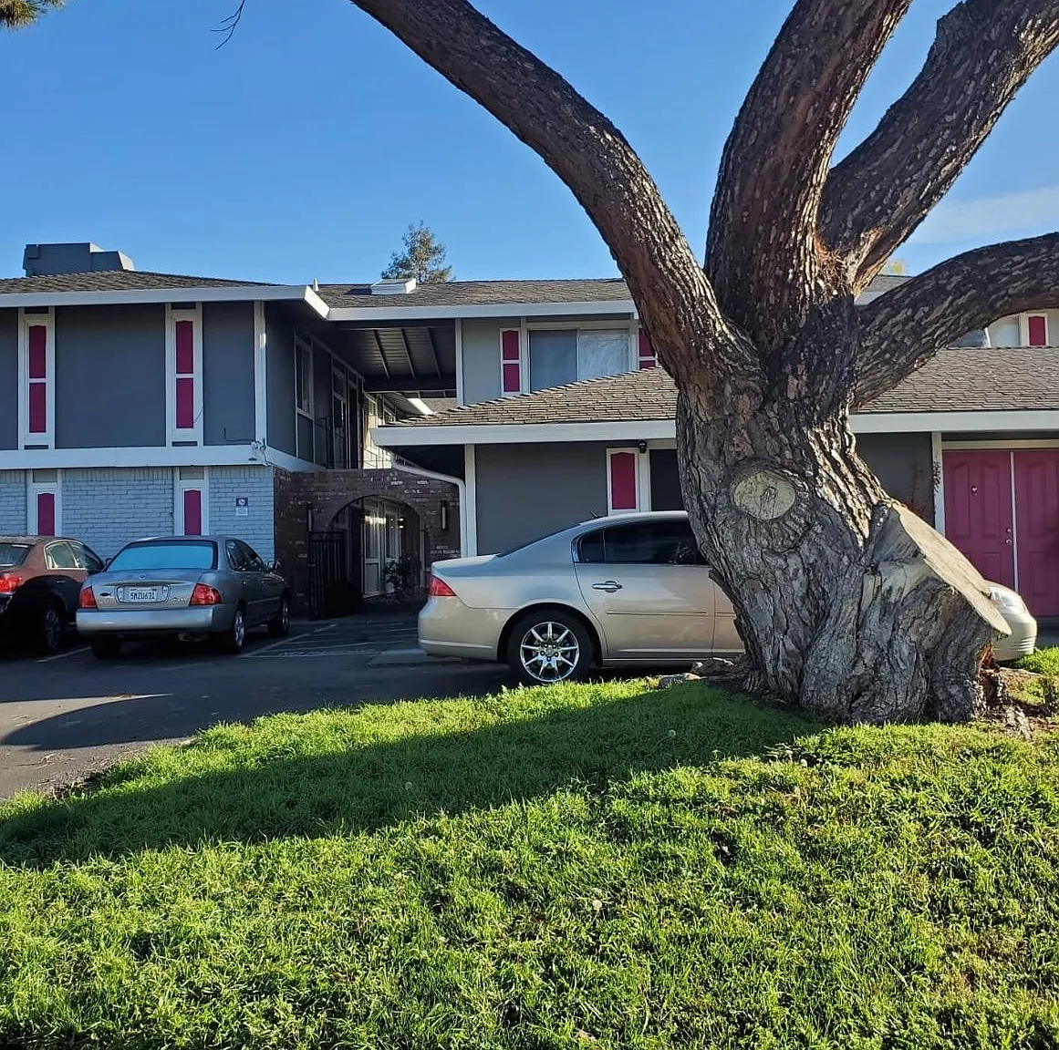 2 bed, 1.5 bath, 1000 sqft, $1,850 — Photo 1