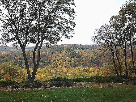 Back Yard View