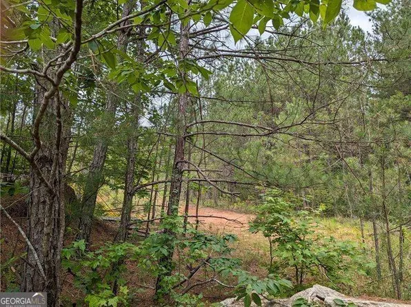 7900 Downs Rd, Winston, GA 30187
