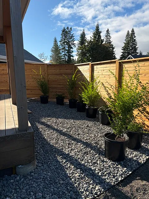 1 bed, 465 sqft, $1,400 — Photo 2