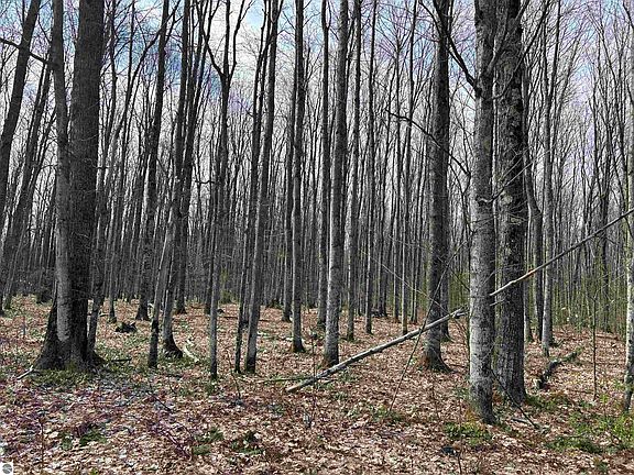4th image of PARCEL 6 Northwood Trl