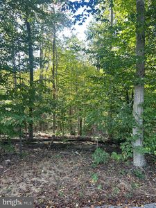 Countryside Ln, Lignum, VA, 22726
