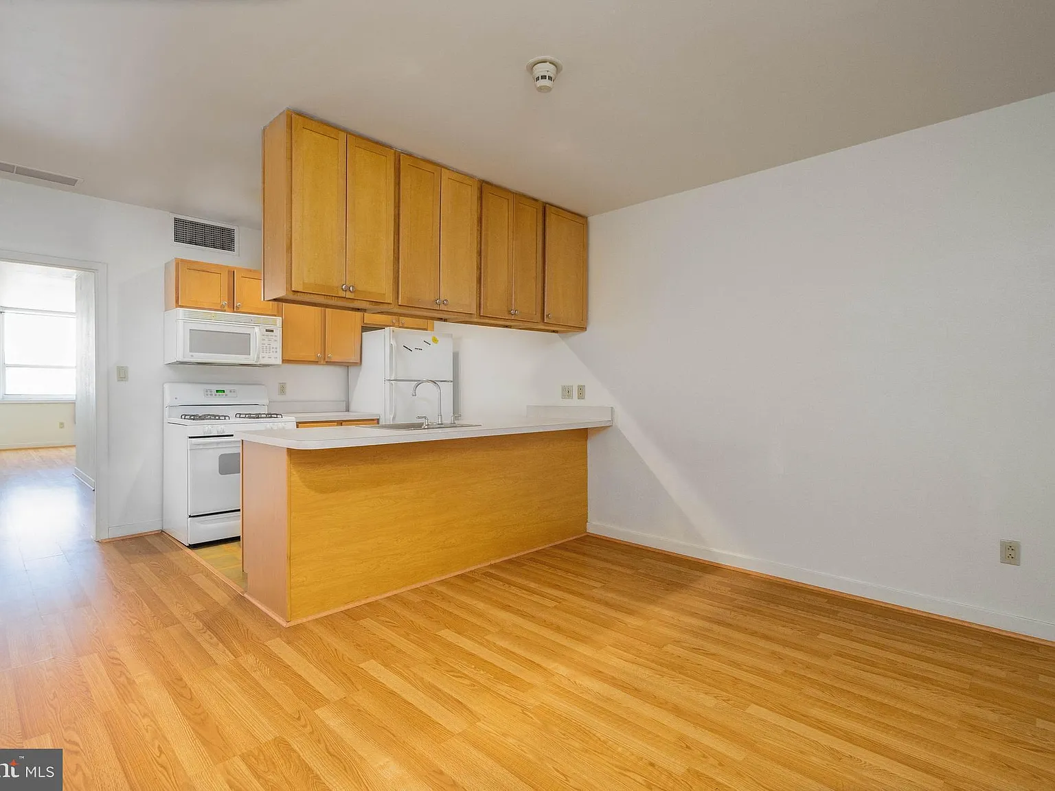 1 bed, 567 sqft, $1,600 — Photo 3