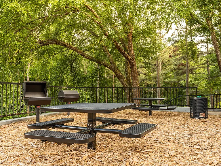 Grill and Picnic Area
