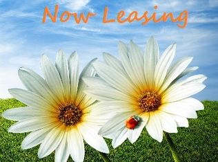 317 Stevens Cir APT 3D, Aberdeen, MD 21001