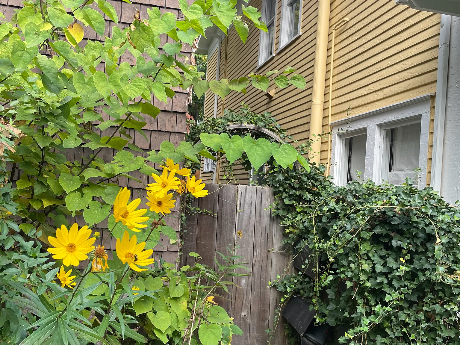 1100 Colquitt Ave NE — Photo 4