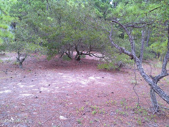 5th image of 2327 False Cape Road LOT 14