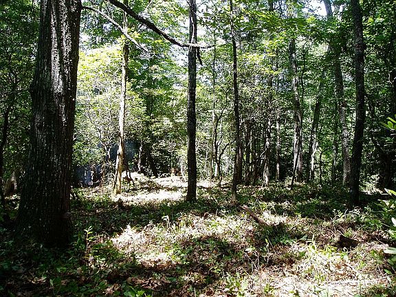 2nd image of Woods Mountain Trail Tahala Shrs