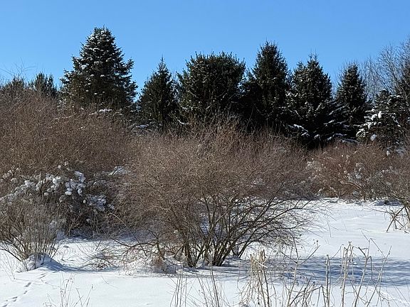 2nd image of 6800 W Barnum Rd