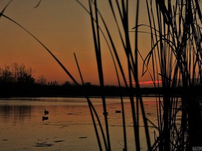 (Undisclosed Address), Carlisle, AR, 72024