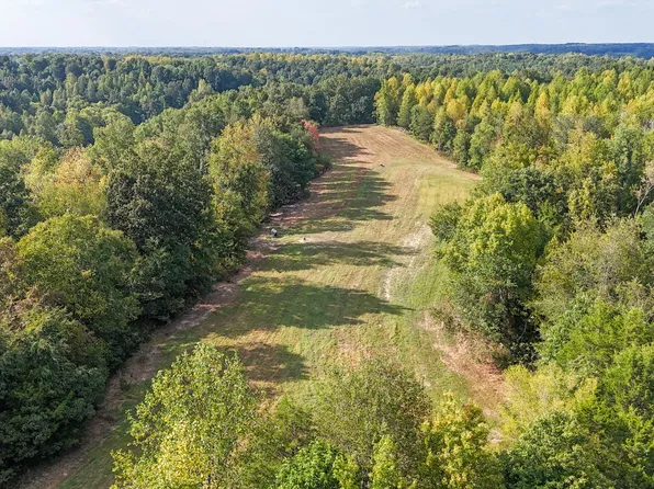 944 Shoal Bluff Rd, Minor Hill, TN 38473