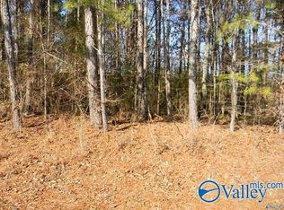 County Road 41, Gaylesville, AL 35973