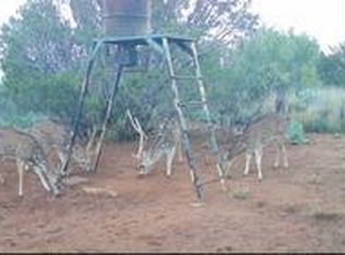 717;297 County Road 289, Bronte, TX 76933