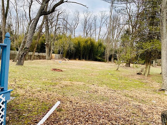 Huge Park Like Backyard