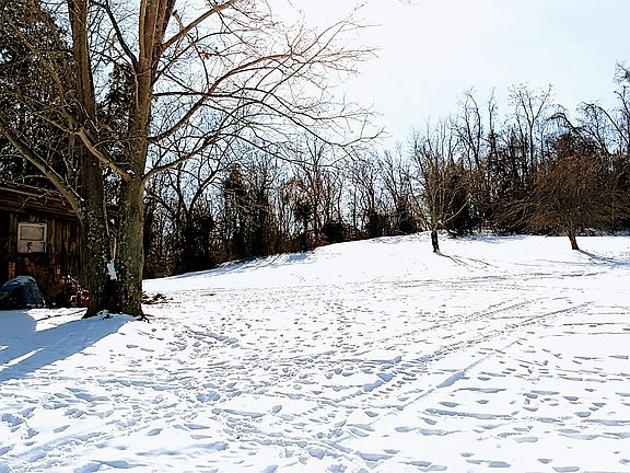 Back yard. Chicken coop on left
